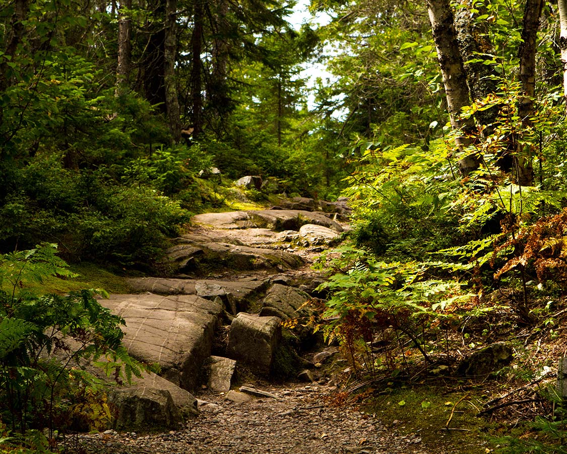 Things To Do In Lake Superior Provincial Park Coastal Hiking Trail