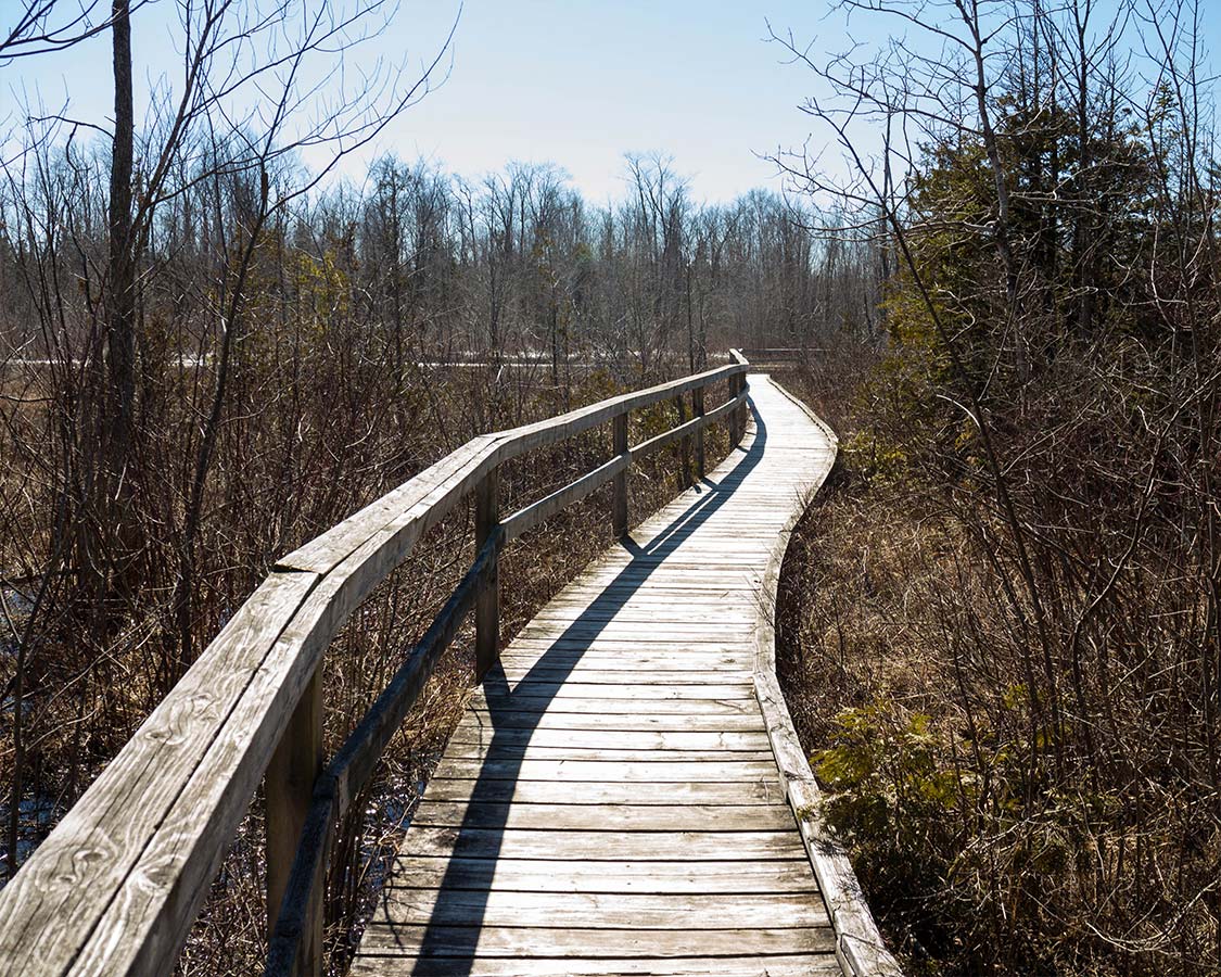 MacGregor Provincial Park Hiking