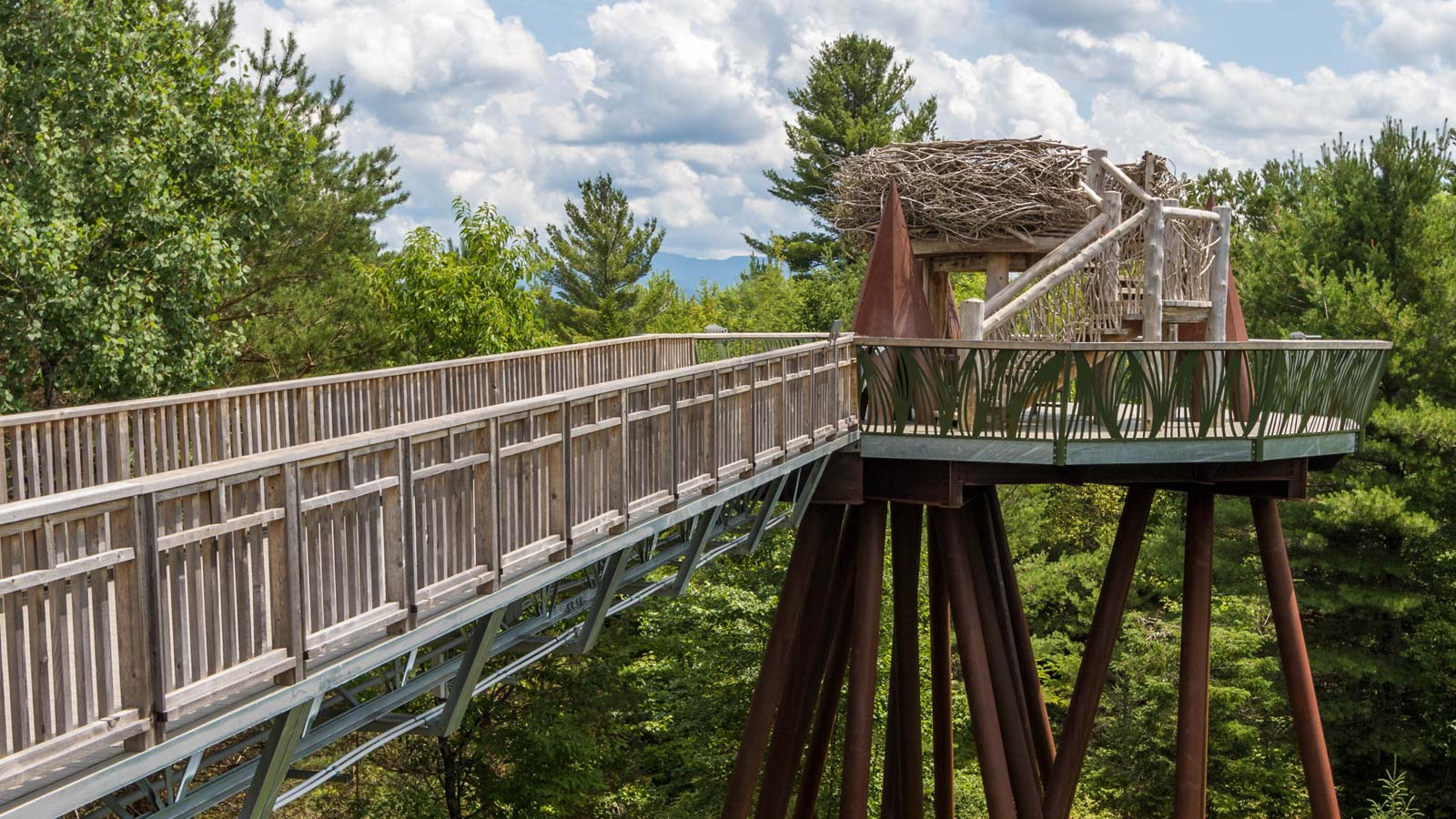 Experience the Wild Center New York and discover why this is the Wildest Adirondack Adventure Center in Upstate New York.