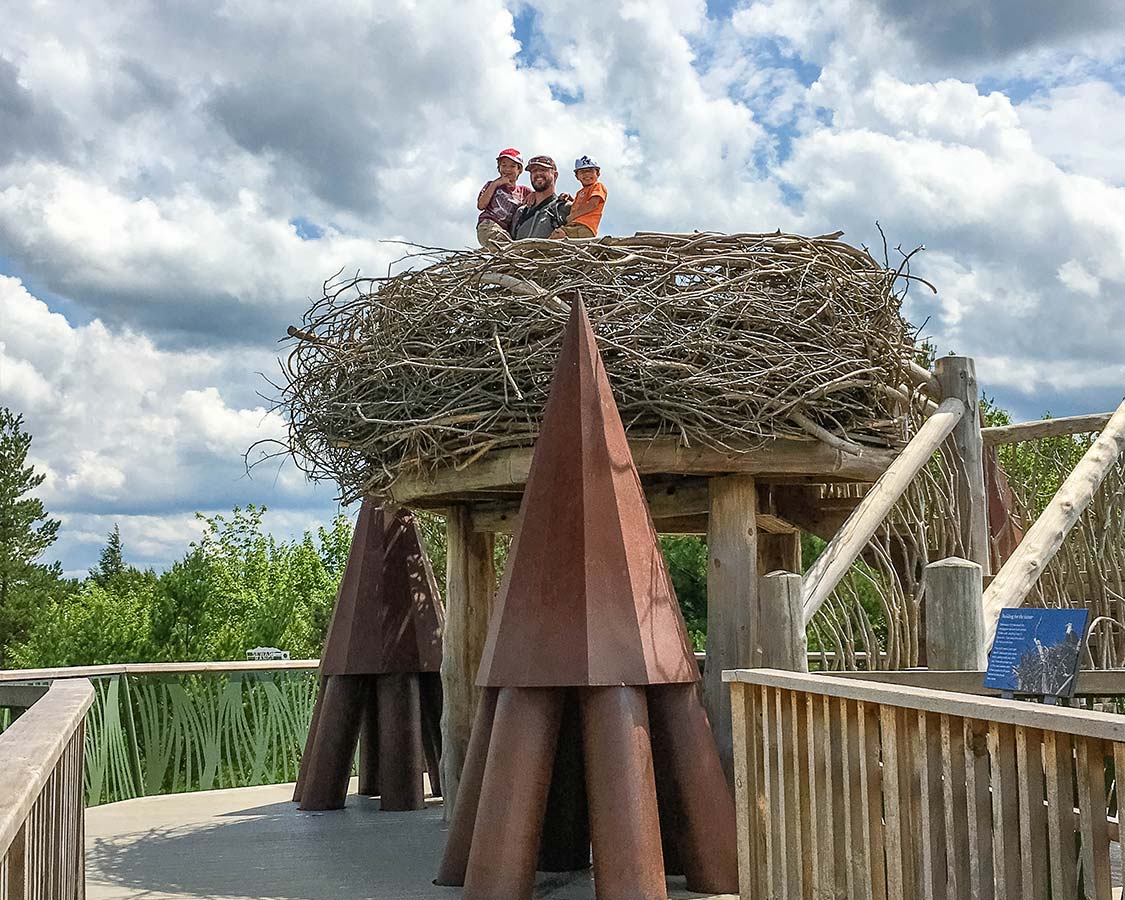 Things To Do in Lake Placid New York - Wild Walk at The Wild Center