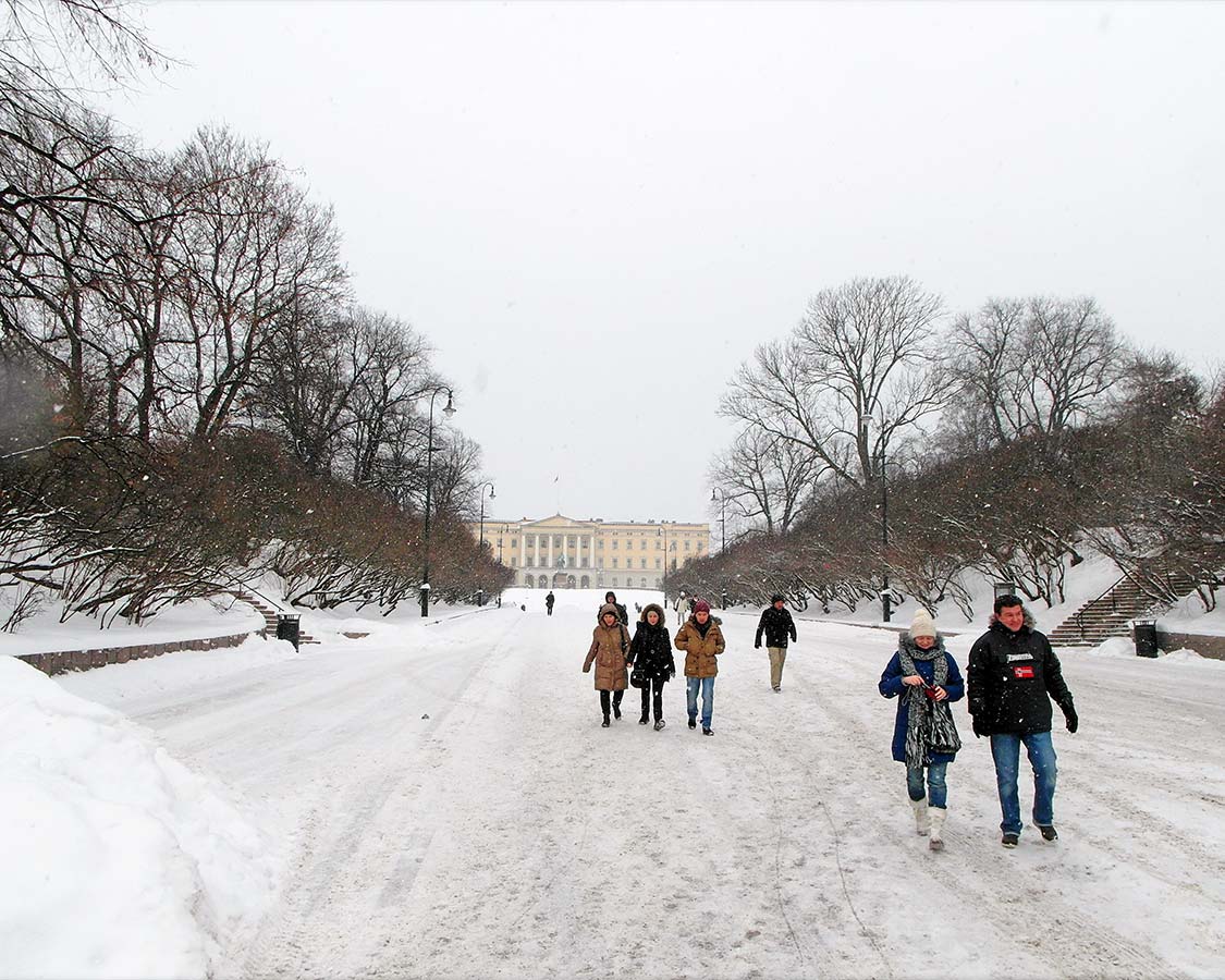 24 hours in Oslo Royal Palace