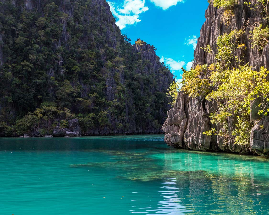 Coron Island Philippines Barracuda Lake