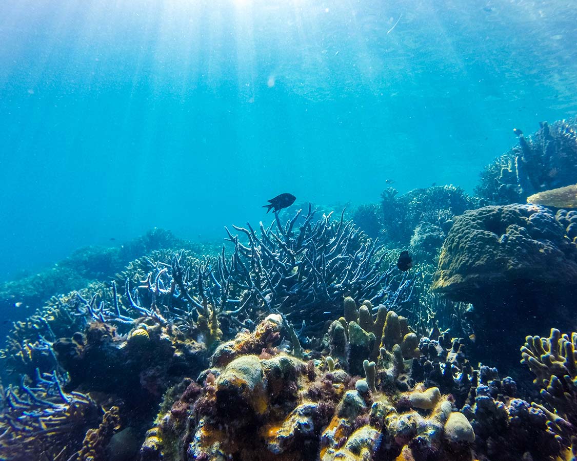 Coron Island Philippines Siete Pecados Marine Park