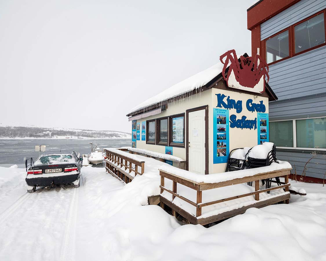 Kirkenes Things To Do King Crab Safari