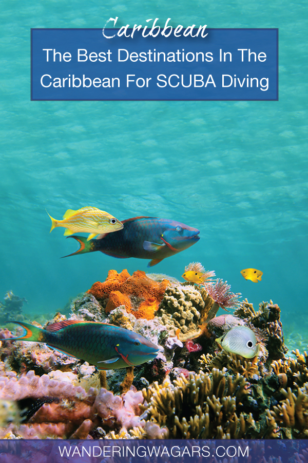 Best SCUBA Diving Destinations In The Caribbean For Families
