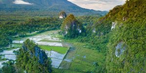 Are you looking for the best things to do in Puerto Princesa Philippines? Discover the Underground River, Nabtong Beach, Baker's Hill and so much more!