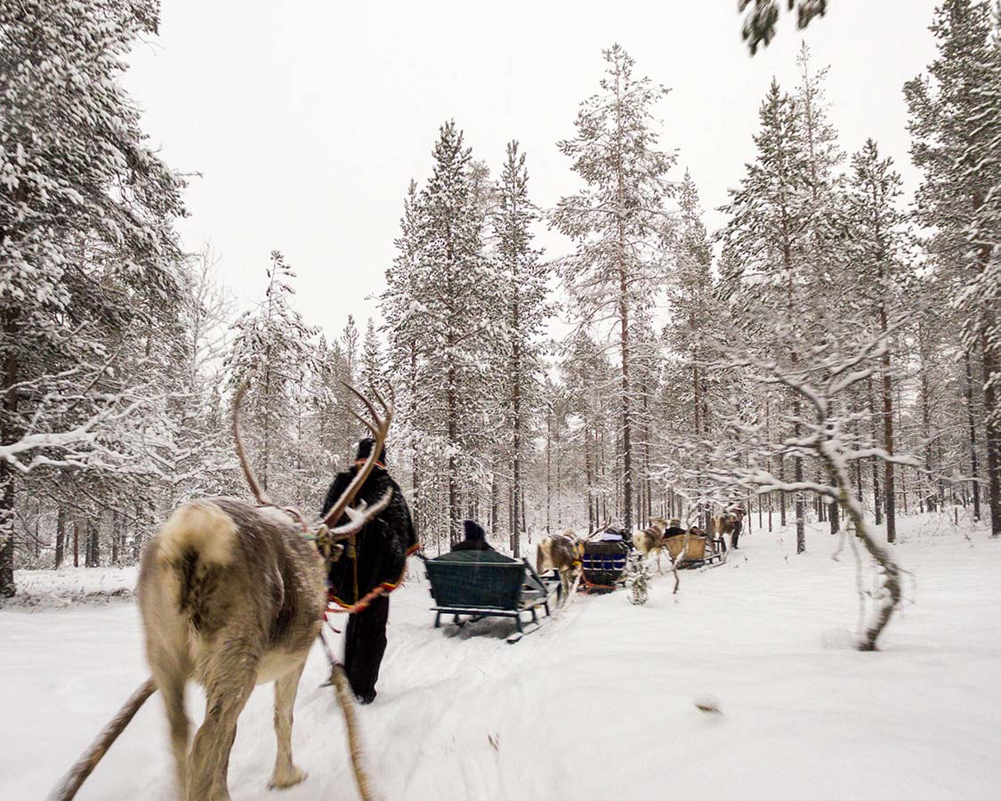 lapland safaris inari