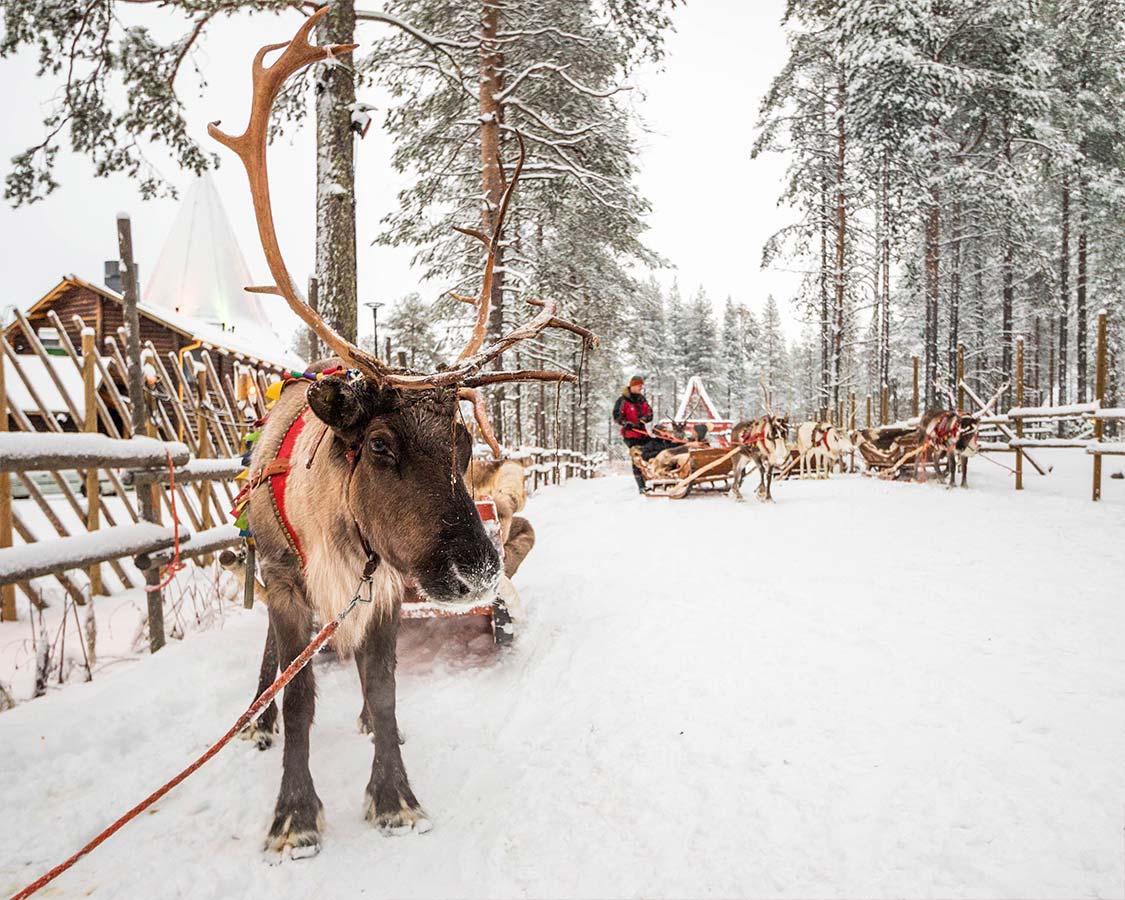 Santa-Claus-Reindeer-Ride-Rovaniemi