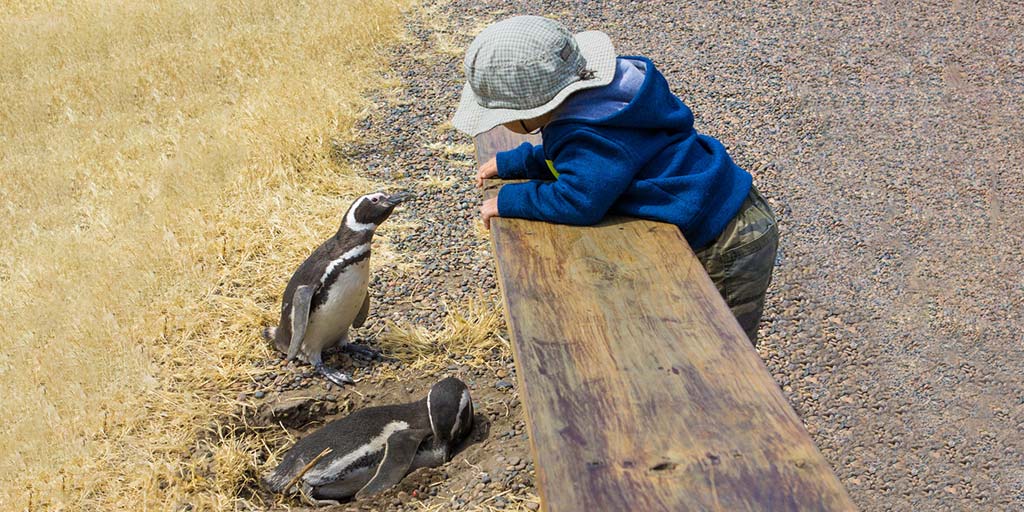 wildlife experiences for families