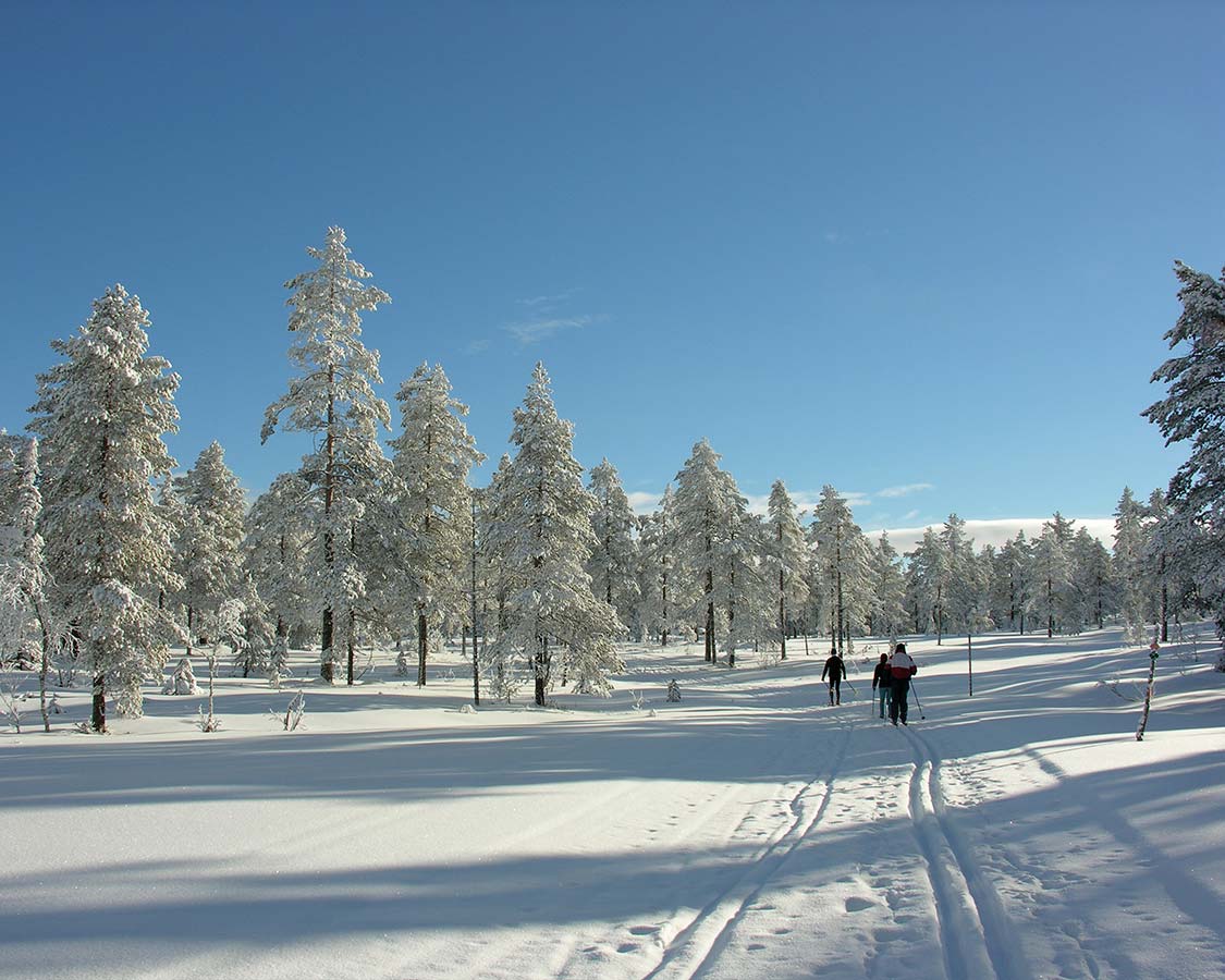 cross-country skiing in Saariselka Finland Inari