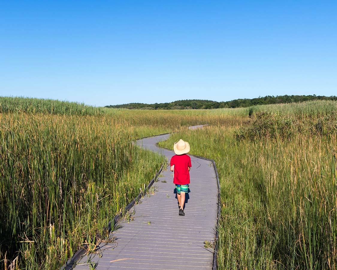 Presqu ile provincial park with kids marsh boardwalk