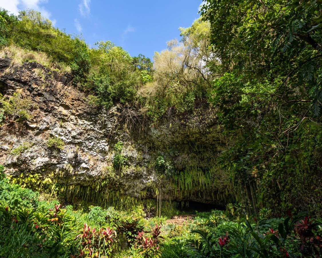 Fern Grotto In Wailua State Park Kauai with children