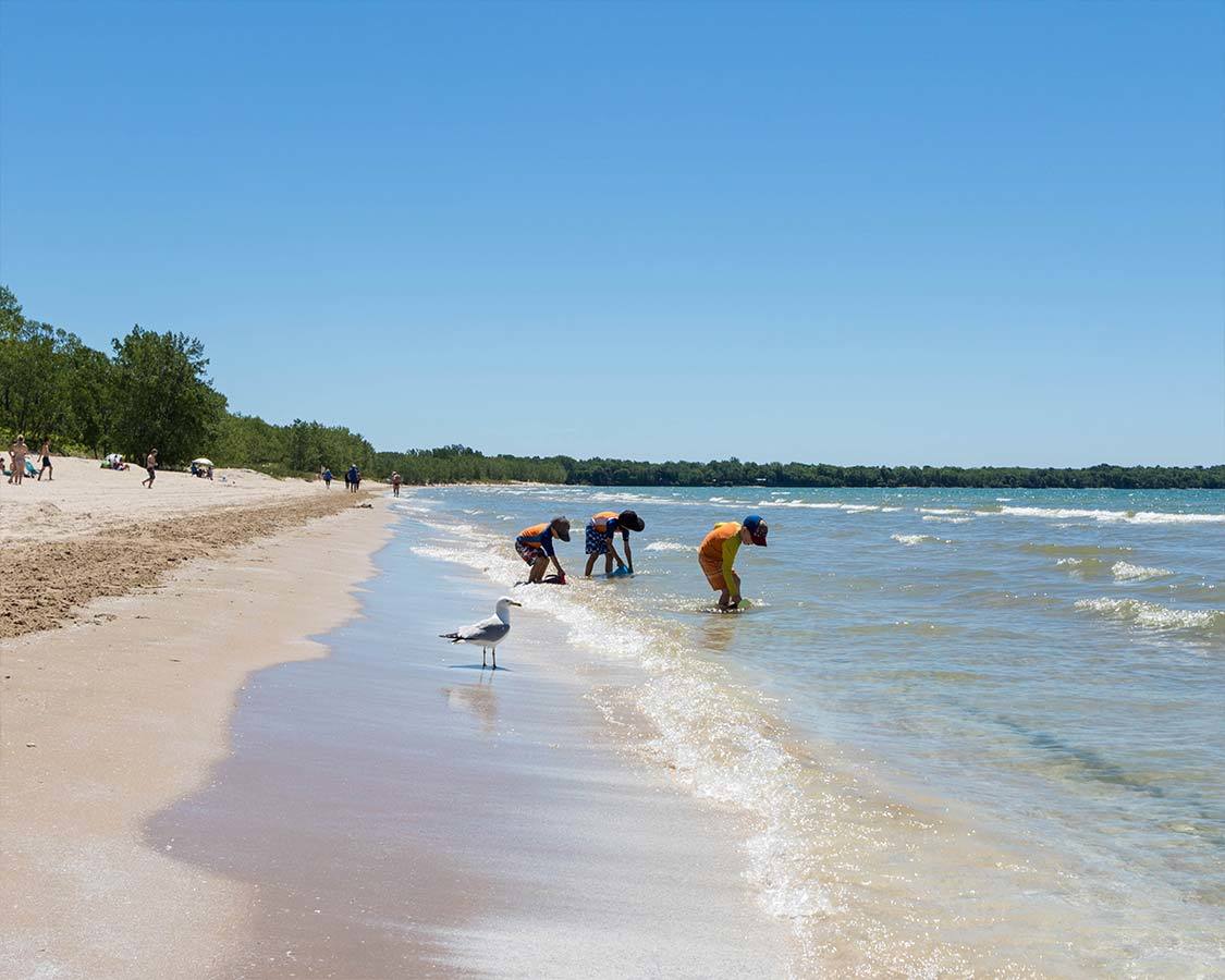 Sandbanks Provincial Park For Families