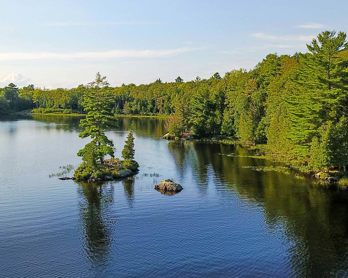 Shoreline in Silent Lake Park