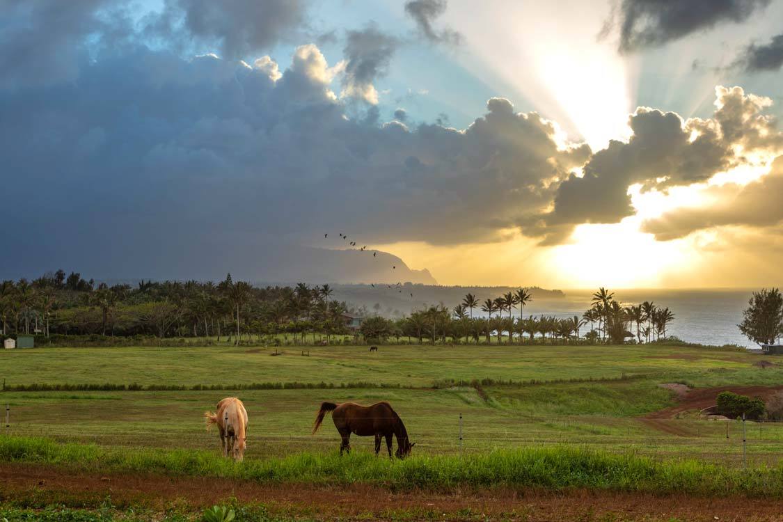  Der beste Kauai Sonnenuntergang Kauai mit Kindern