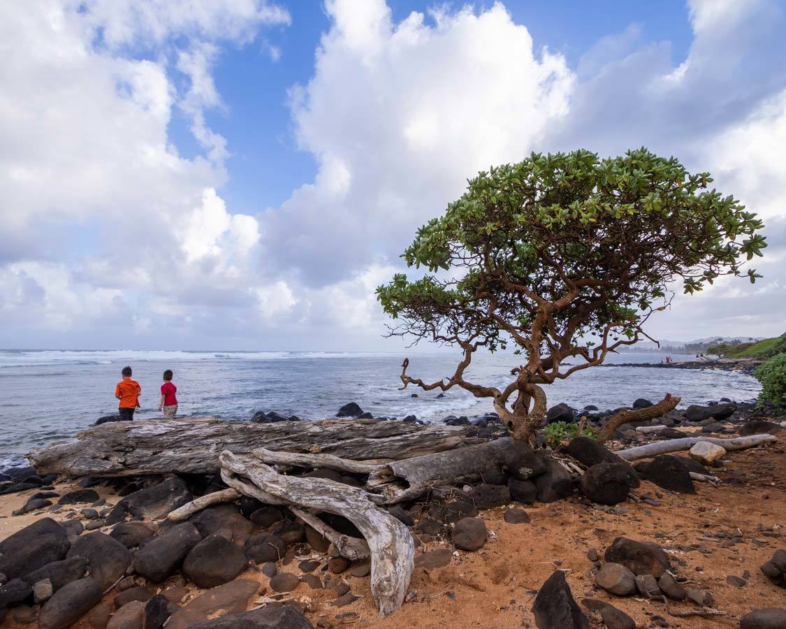  Garçon de vacances en famille à Kauai sur des rochers près de l'océan