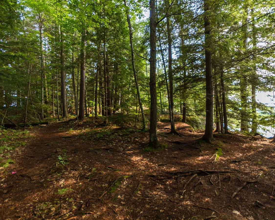 Hiking at Silent Lake Ontario