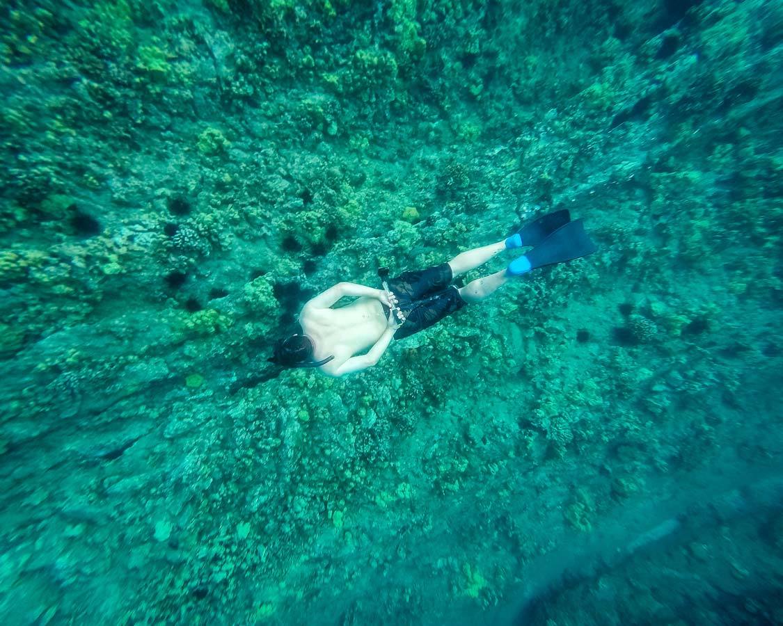 Freedive snorkel in Molokini Crater Maui