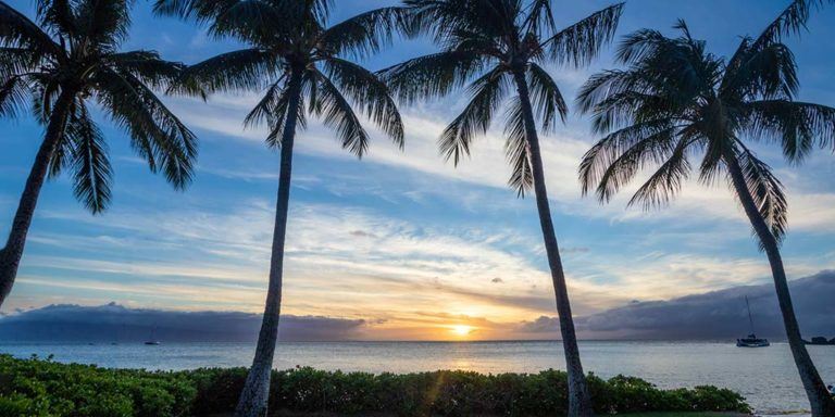 5-Day Maui Itinerary: The Best Of Things To See On Maui - Adventure ...