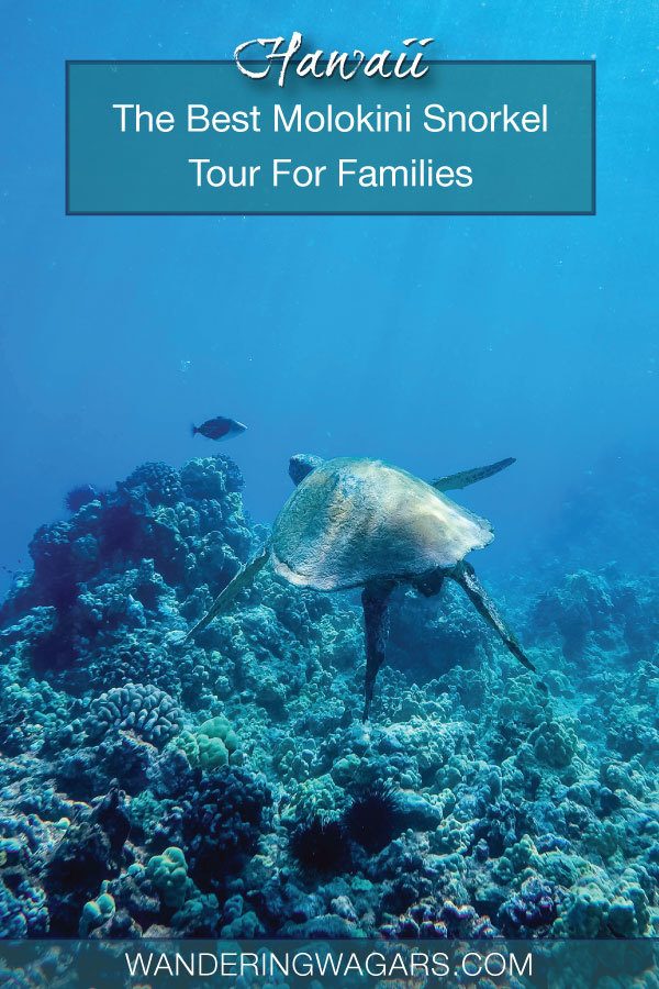 Molokini Snorkeling Tour