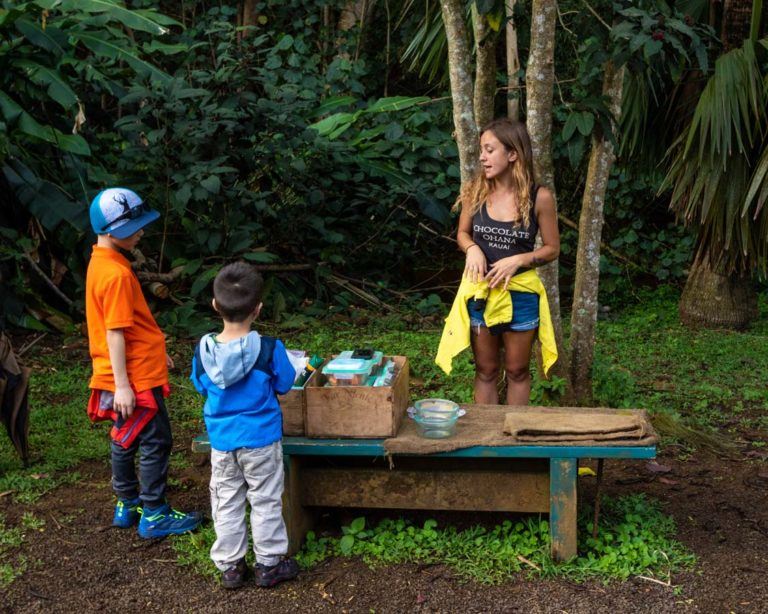 Get A Taste Of Hawaii On This Lydgate Farms Kauai Chocolate Tour