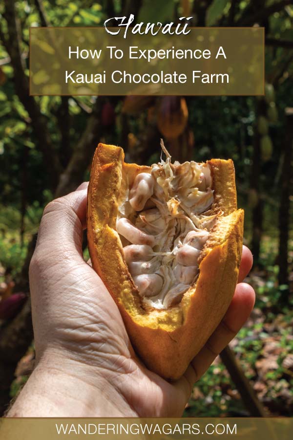 The Best Kauai Chocolate Tour