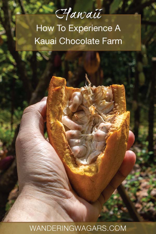 Get A Taste Of Hawaii On This Lydgate Farms Kauai Chocolate Tour ...