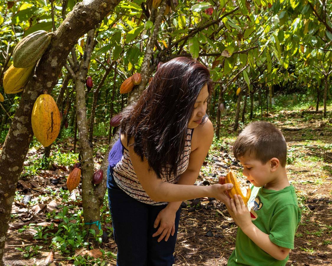 Kauai chocolate tour with kids