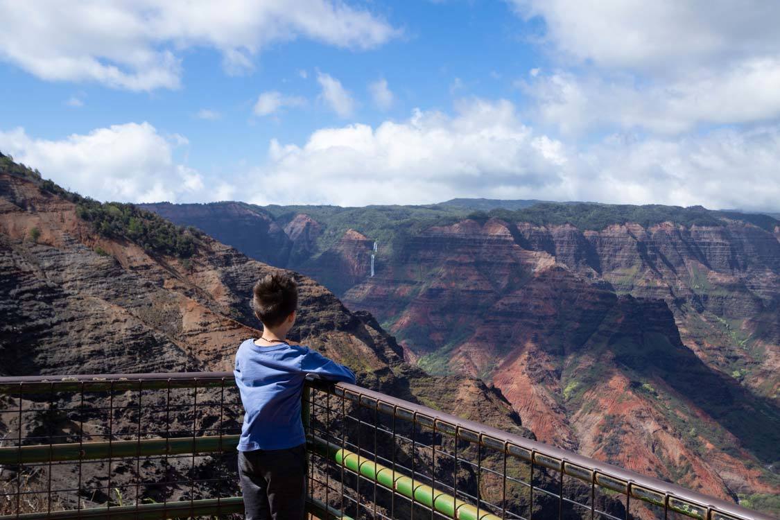 Puu Hinahina Lookout Waimea Canyon Kauai