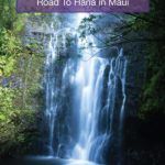 Road To Hana Stops Maui