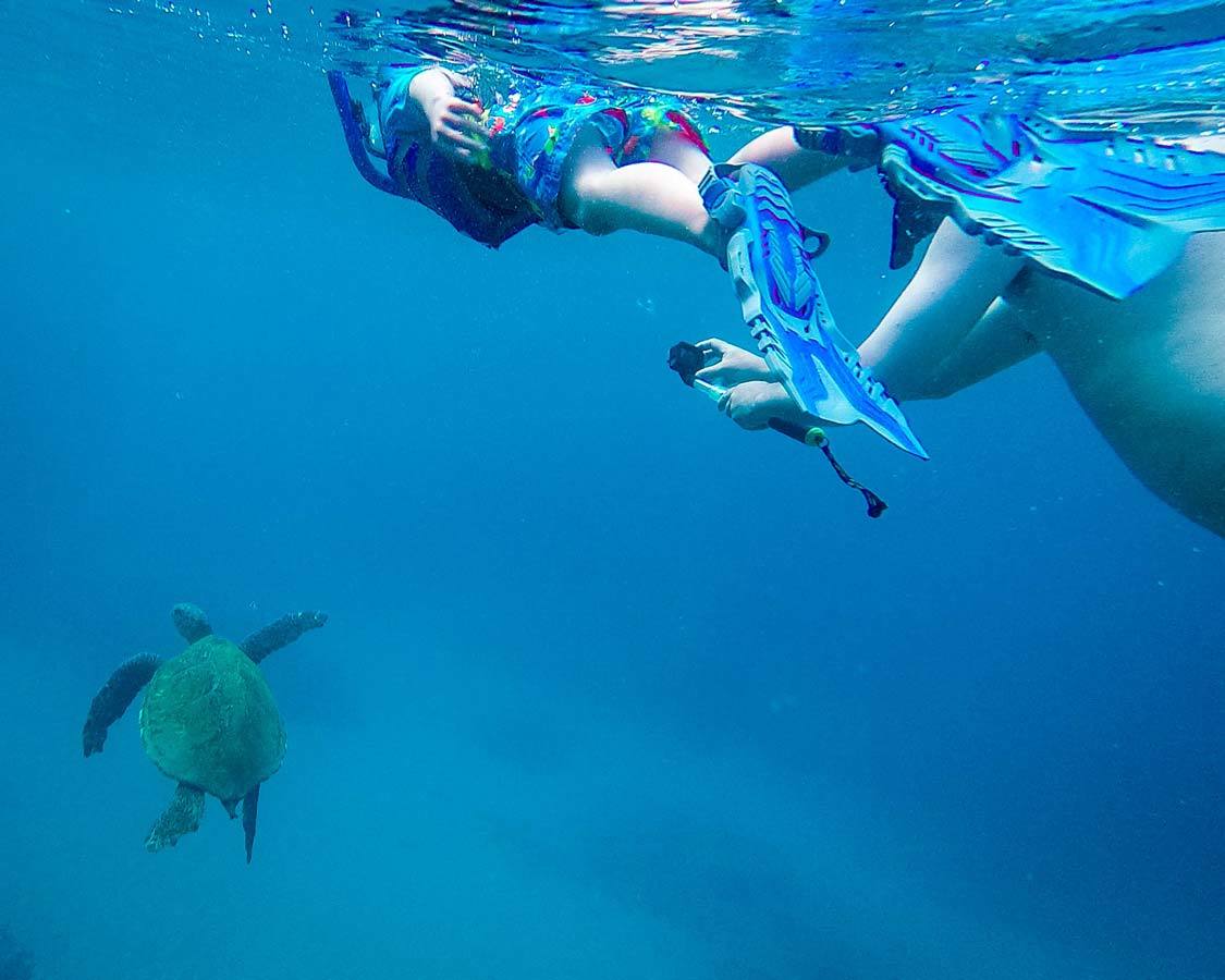 Snorkeling in Maui for children