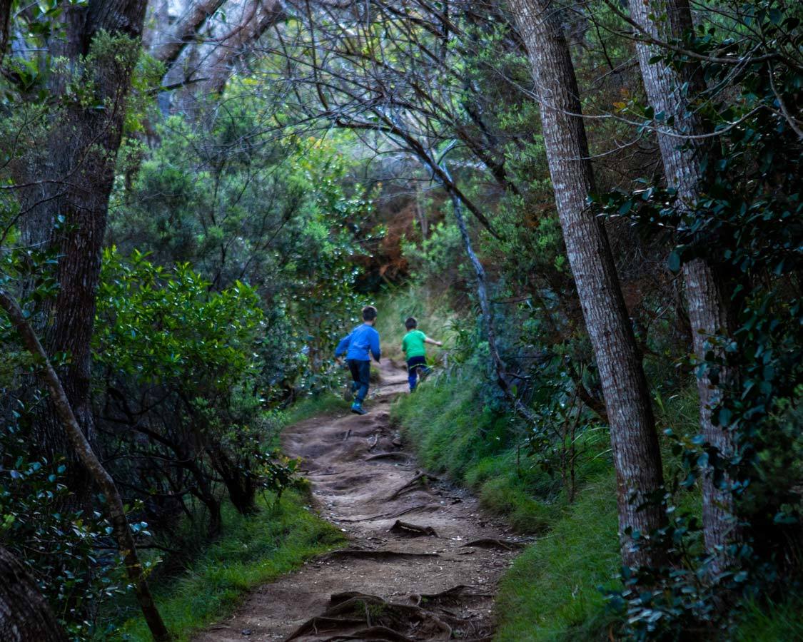 Waimea Canyon hikes