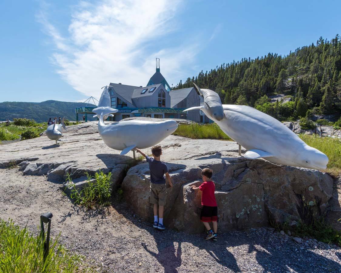 Marine Mammal Interpretation Centre Tadoussac