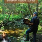 Things to do in Piopolis Quebec