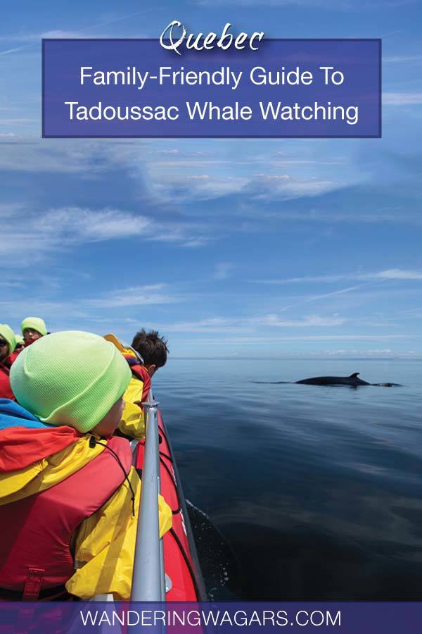 Tadoussac whale watching