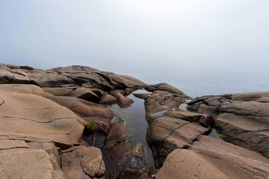 Whale watching in Tadoussac at Cap-de-Bon-Desir