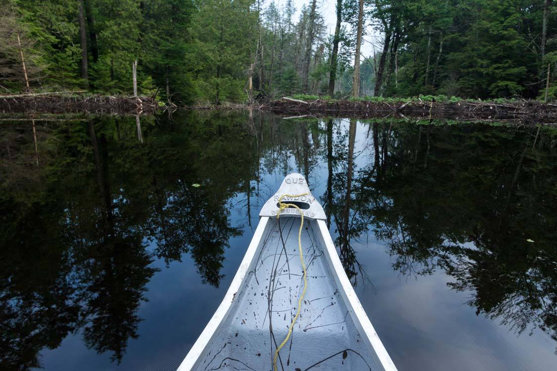 Beaver Dam at Amishk Adventures Quebec