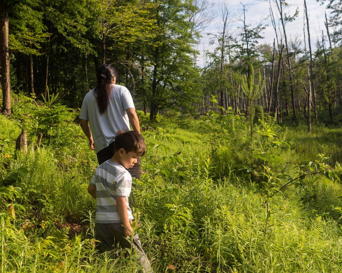 Beaver Watching In Quebec Indigenous Tourism