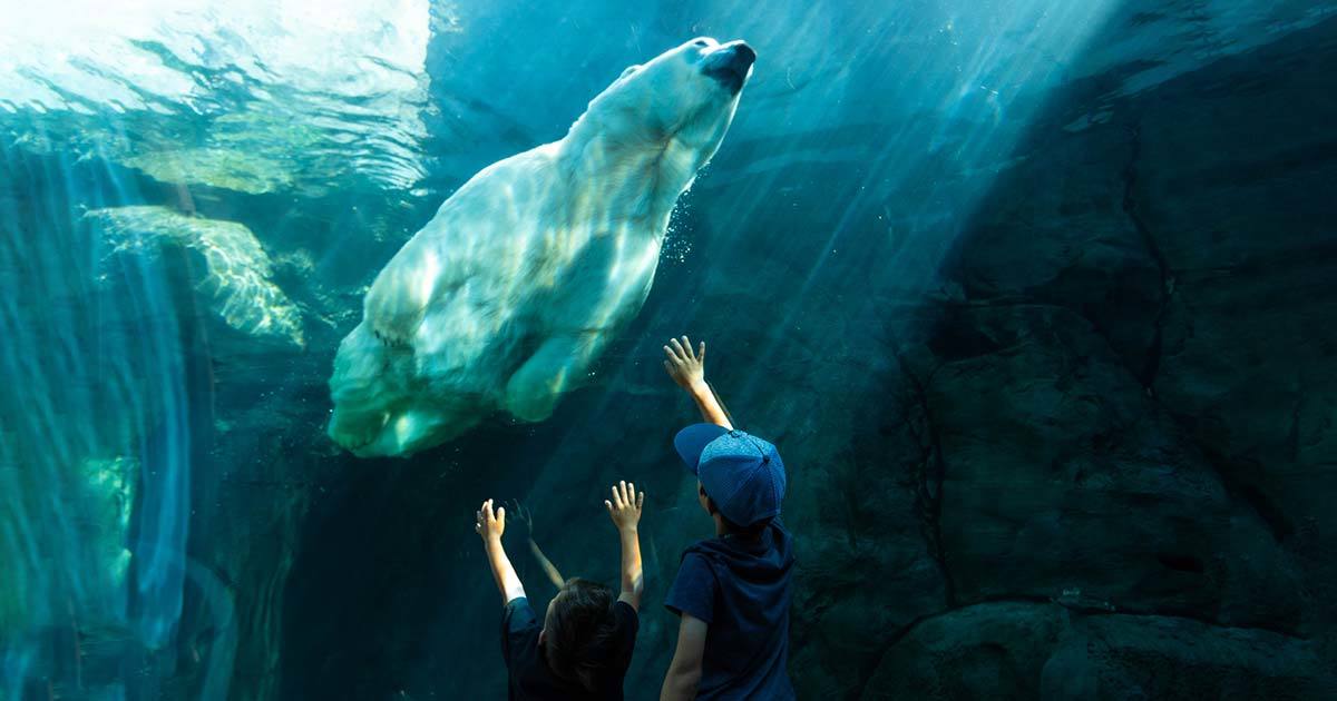 Fun Things To Do In Winnipeg Manitoba This Summer