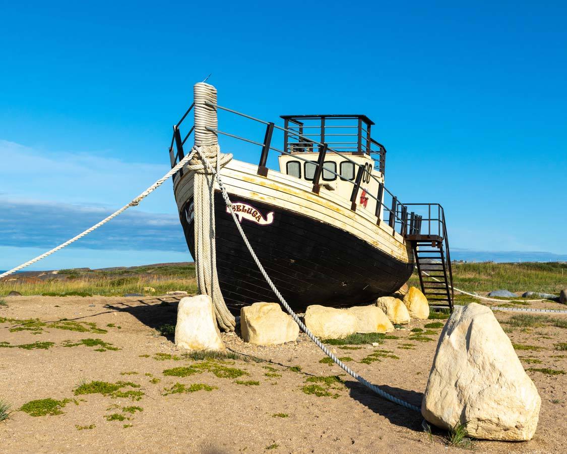 Churchill Manitoba Guide Beluga Boat