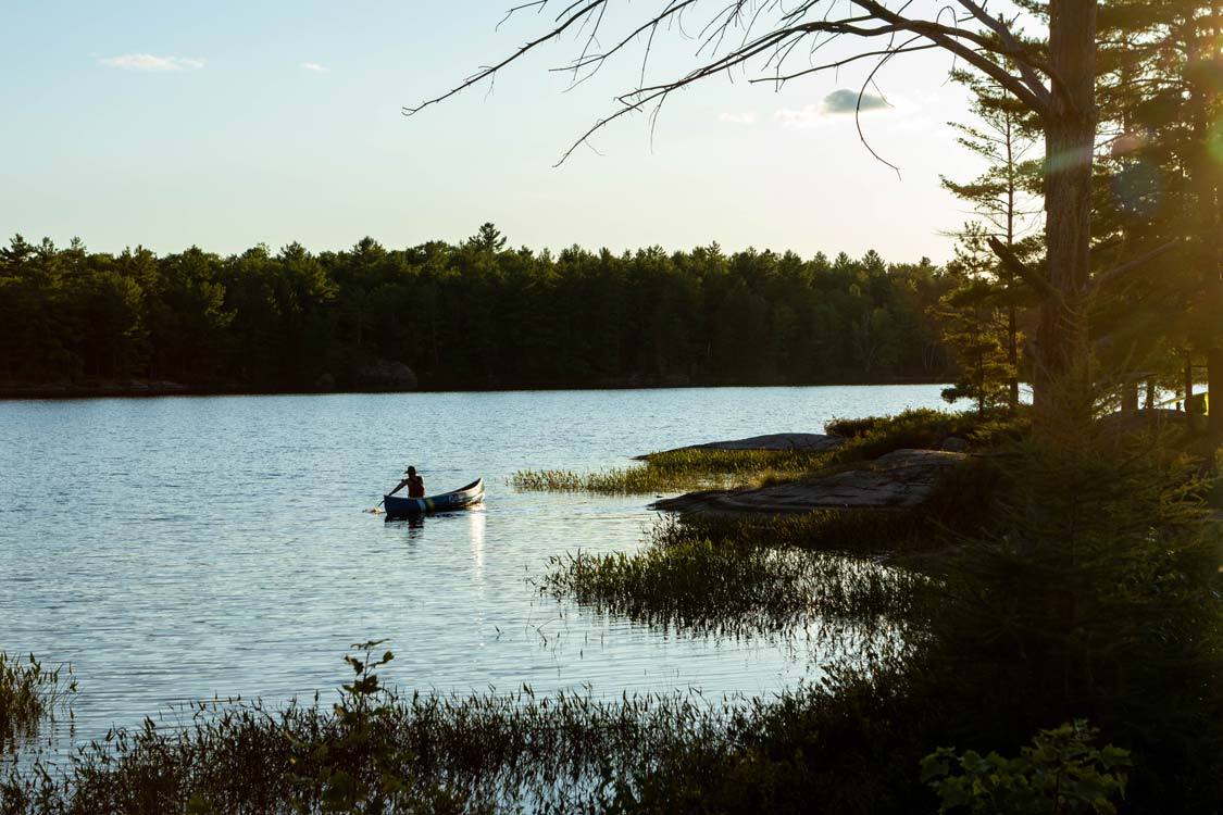 Kawartha Lakes Provincial Park Canoeing