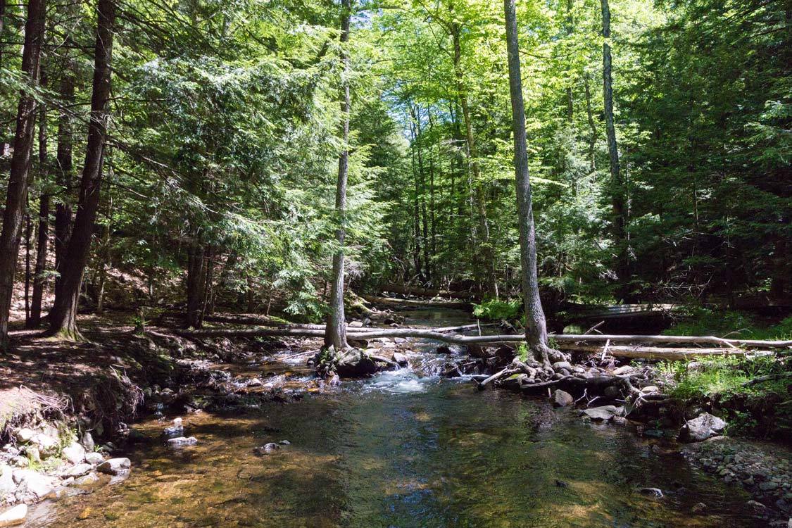 Things to do in Lake George hiking