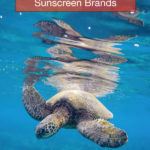 Best reef safe sunscreen brands