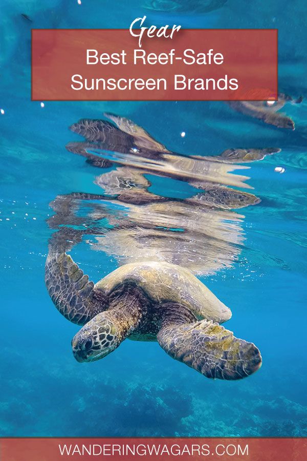 Best reef safe sunscreen brands