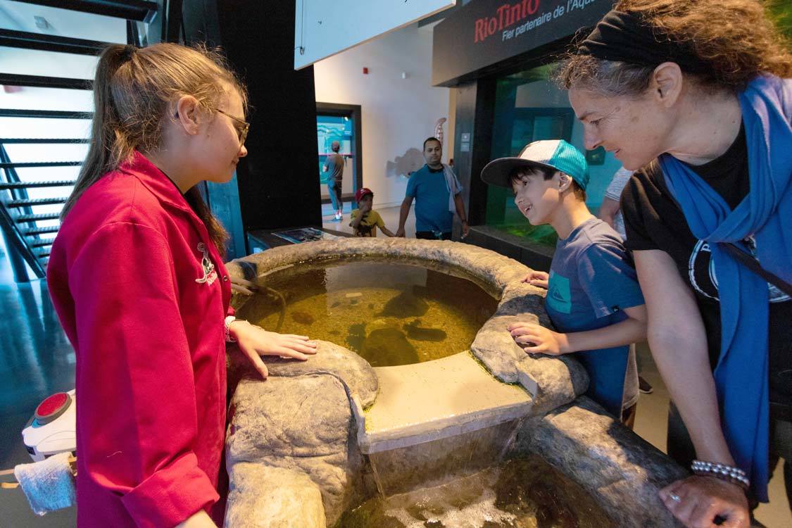 Saguenay-Lac-St-Jean Musee du Fjord