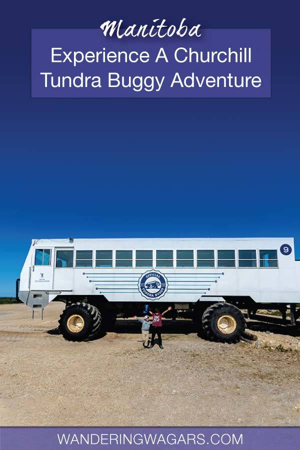 Churchill Tundra Buggy Adventure