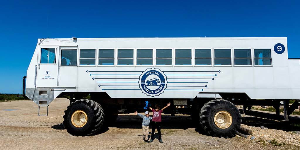 Experiencing Wildlife On a Churchill Tundra Buggy Adventure