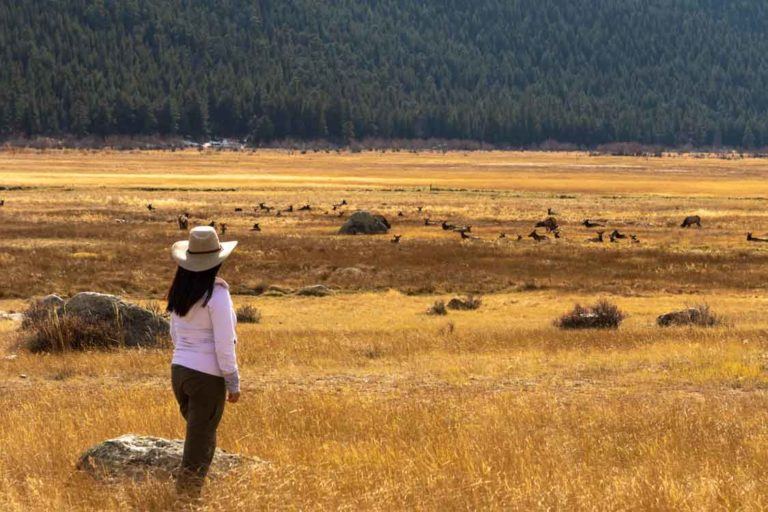 Denver To Estes Park Drive How To Plan Your Colorado Road Trip