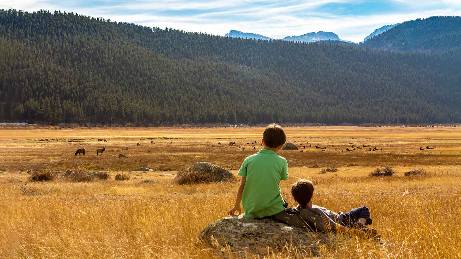 Things To Do In Colorado With Kids