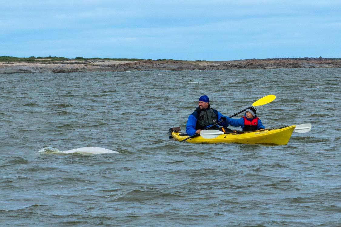 Wandering Wagars in Churchill Manitoba